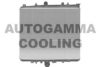 AUTOGAMMA 103167 Radiator, engine cooling